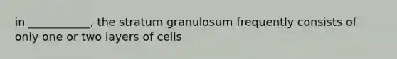 in ___________, the stratum granulosum frequently consists of only one or two layers of cells