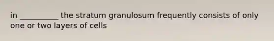 in __________ the stratum granulosum frequently consists of only one or two layers of cells