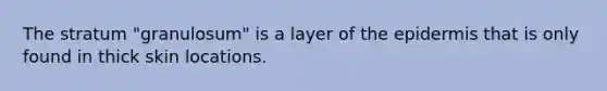 The stratum "granulosum" is a layer of the epidermis that is only found in thick skin locations.