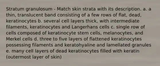 Stratum granulosum - Match skin strata with its description. a. a thin, translucent band consisting of a few rows of flat, dead, keratinocytes b. several cell layers thick, with intermediate filaments, keratinocytes and Langerhans cells c. single row of cells composed of keratinocyte stem cells, melanocytes, and Merkel cells d. three to five layers of flattened keratinocytes possessing filaments and keratohyaline and lamellated granules e. many cell layers of dead keratinocytes filled with keratin (outermost layer of skin)