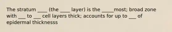 The stratum ____ (the ____ layer) is the _____most; broad zone with ___ to ___ cell layers thick; accounts for up to ___ of epidermal thicknesss