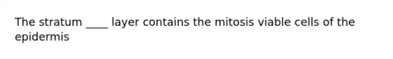 The stratum ____ layer contains the mitosis viable cells of the epidermis