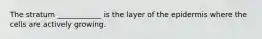 The stratum ____________ is the layer of the epidermis where the cells are actively growing.