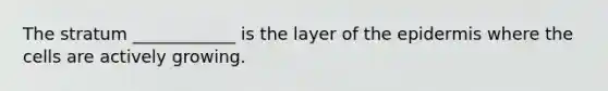 The stratum ____________ is the layer of <a href='https://www.questionai.com/knowledge/kBFgQMpq6s-the-epidermis' class='anchor-knowledge'>the epidermis</a> where the cells are actively growing.