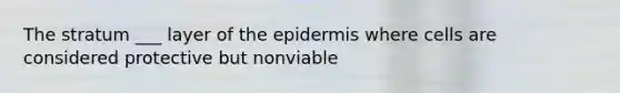 The stratum ___ layer of the epidermis where cells are considered protective but nonviable