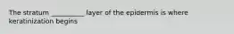 The stratum __________ layer of the epidermis is where keratinization begins