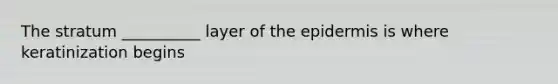 The stratum __________ layer of the epidermis is where keratinization begins