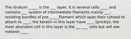 The stratum _____ is the ___ layer; it is several cells ____ and contains ___ system of intermediate filaments mainly ___-resisting bundles of pre-_____filament which span their cytosol to attach to ____; the keratin in this layer have ____ (prickly); the most abundant cell in this layer is the ___ ___ cells but will see melanin ____