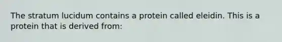 The stratum lucidum contains a protein called eleidin. This is a protein that is derived from: