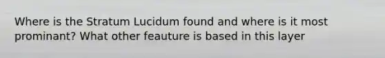 Where is the Stratum Lucidum found and where is it most prominant? What other feauture is based in this layer