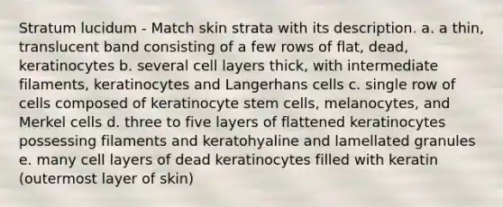 Stratum lucidum - Match skin strata with its description. a. a thin, translucent band consisting of a few rows of flat, dead, keratinocytes b. several cell layers thick, with intermediate filaments, keratinocytes and Langerhans cells c. single row of cells composed of keratinocyte stem cells, melanocytes, and Merkel cells d. three to five layers of flattened keratinocytes possessing filaments and keratohyaline and lamellated granules e. many cell layers of dead keratinocytes filled with keratin (outermost layer of skin)