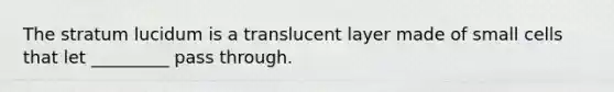 The stratum lucidum is a translucent layer made of small cells that let _________ pass through.