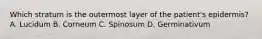 Which stratum is the outermost layer of the patient's epidermis? A. Lucidum B. Corneum C. Spinosum D. Germinativum