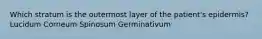 Which stratum is the outermost layer of the patient's epidermis? Lucidum Corneum Spinosum Germinativum