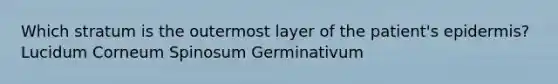 Which stratum is the outermost layer of the patient's epidermis? Lucidum Corneum Spinosum Germinativum