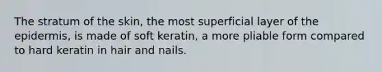 The stratum of the skin, the most superficial layer of the epidermis, is made of soft keratin, a more pliable form compared to hard keratin in hair and nails.