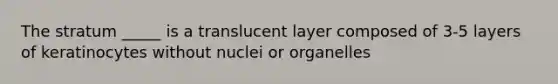 The stratum _____ is a translucent layer composed of 3-5 layers of keratinocytes without nuclei or organelles