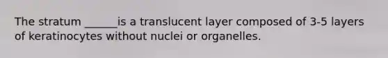 The stratum ______is a translucent layer composed of 3-5 layers of keratinocytes without nuclei or organelles.