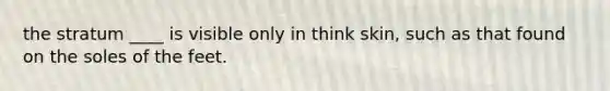 the stratum ____ is visible only in think skin, such as that found on the soles of the feet.