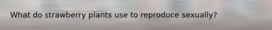 What do strawberry plants use to reproduce sexually?