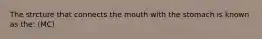 The strcture that connects the mouth with the stomach is known as the: (MC)