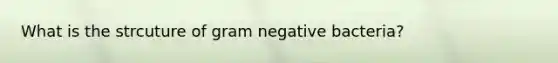 What is the strcuture of gram negative bacteria?