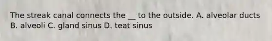 The streak canal connects the __ to the outside. A. alveolar ducts B. alveoli C. gland sinus D. teat sinus