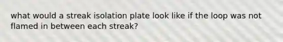 what would a streak isolation plate look like if the loop was not flamed in between each streak?