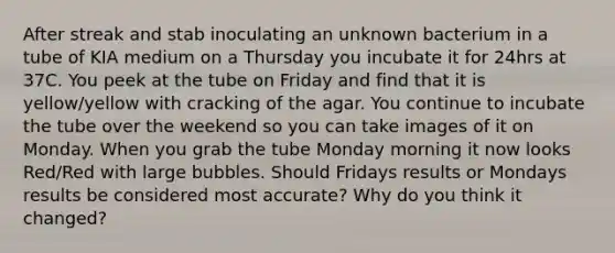 After streak and stab inoculating an unknown bacterium in a tube of KIA medium on a Thursday you incubate it for 24hrs at 37C. You peek at the tube on Friday and find that it is yellow/yellow with cracking of the agar. You continue to incubate the tube over the weekend so you can take images of it on Monday. When you grab the tube Monday morning it now looks Red/Red with large bubbles. Should Fridays results or Mondays results be considered most accurate? Why do you think it changed?
