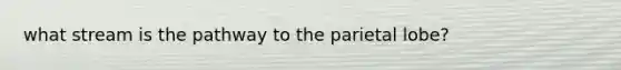 what stream is the pathway to the parietal lobe?