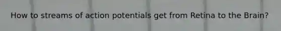 How to streams of action potentials get from Retina to the Brain?