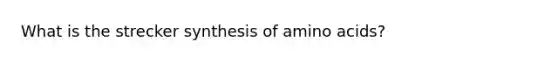 What is the strecker synthesis of amino acids?