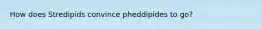 How does Stredipids convince pheddipides to go?