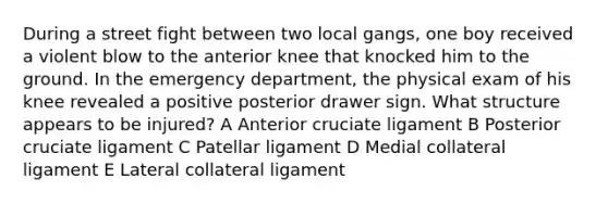 During a street fight between two local gangs, one boy received a violent blow to the anterior knee that knocked him to the ground. In the emergency department, the physical exam of his knee revealed a positive posterior drawer sign. What structure appears to be injured? A Anterior cruciate ligament B Posterior cruciate ligament C Patellar ligament D Medial collateral ligament E Lateral collateral ligament