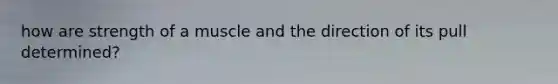 how are strength of a muscle and the direction of its pull determined?