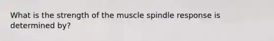 What is the strength of the muscle spindle response is determined by?