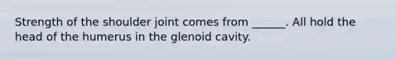 Strength of the shoulder joint comes from ______. All hold the head of the humerus in the glenoid cavity.