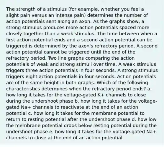 The strength of a stimulus (for example, whether you feel a slight pain versus an intense pain) determines the number of action potentials sent along an axon. As the graphs show, a strong stimulus produces more action potentials spaced more closely together than a weak stimulus. The time between when a first action potential ends and a second action potential can be triggered is determined by the axon's refractory period. A second action potential cannot be triggered until the end of the refractory period. Two line graphs comparing the action potentials of weak and strong stimuli over time. A weak stimulus triggers three action potentials in four seconds. A strong stimulus triggers eight action potentials in four seconds. Action potentials are of the same height in both graphs. Which of the following characteristics determines when the refractory period ends? a. how long it takes for the voltage-gated K+ channels to close during the undershoot phase b. how long it takes for the voltage-gated Na+ channels to reactivate at the end of an action potential c. how long it takes for the membrane potential to return to resting potential after the undershoot phase d. how low the membrane potential drops below resting potential during the undershoot phase e. how long it takes for the voltage-gated Na+ channels to close at the end of an action potential