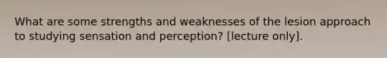 What are some strengths and weaknesses of the lesion approach to studying sensation and perception? [lecture only].