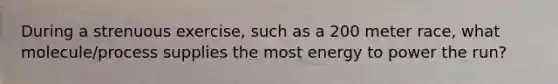 During a strenuous exercise, such as a 200 meter race, what molecule/process supplies the most energy to power the run?