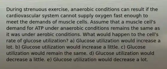 During strenuous exercise, anaerobic conditions can result if the cardiovascular system cannot supply oxygen fast enough to meet the demands of muscle cells. Assume that a muscle cell's demand for ATP under anaerobic conditions remains the same as it was under aerobic conditions. What would happen to the cell's rate of glucose utilization? a) Glucose utilization would increase a lot. b) Glucose utilization would increase a little. c) Glucose utilization would remain the same. d) Glucose utilization would decrease a little. e) Glucose utilization would decrease a lot.