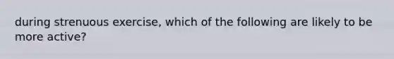 during strenuous exercise, which of the following are likely to be more active?