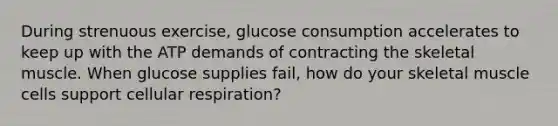 During strenuous exercise, glucose consumption accelerates to keep up with the ATP demands of contracting the skeletal muscle. When glucose supplies fail, how do your skeletal muscle cells support cellular respiration?