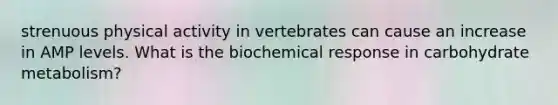 strenuous physical activity in vertebrates can cause an increase in AMP levels. What is the biochemical response in carbohydrate metabolism?