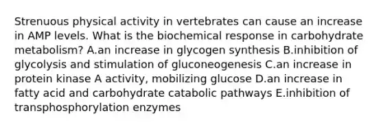 Strenuous physical activity in vertebrates can cause an increase in AMP levels. What is the biochemical response in carbohydrate metabolism? A.an increase in glycogen synthesis B.inhibition of glycolysis and stimulation of gluconeogenesis C.an increase in protein kinase A activity, mobilizing glucose D.an increase in fatty acid and carbohydrate catabolic pathways E.inhibition of transphosphorylation enzymes