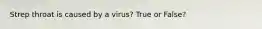 Strep throat is caused by a virus? True or False?