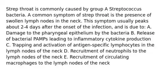 Strep throat is commonly caused by group A Streptococcus bacteria. A common symptom of strep throat is the presence of swollen lymph nodes in the neck. This symptom usually peaks about 2-4 days after the onset of the infection, and is due to: A. Damage to the pharyngeal epithelium by the bacteria B. Release of bacterial PAMPs leading to inflammatory cytokine production C. Trapping and activation of antigen-specific lymphocytes in the lymph nodes of the neck D. Recruitment of neutrophils to the lymph nodes of the neck E. Recruitment of circulating macrophages to the lymph nodes of the neck