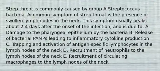 Strep throat is commonly caused by group A Streptococcus bacteria. Acommon symptom of strep throat is the presence of swollen lymph nodes in the neck. This symptom usually peaks about 2-4 days after the onset of the infection, and is due to: A. Damage to the pharyngeal epithelium by the bacteria B. Release of bacterial PAMPs leading to inflammatory cytokine production C. Trapping and activation of antigen-specific lymphocytes in the lymph nodes of the neck D. Recruitment of neutrophils to the lymph nodes of the neck E. Recruitment of circulating macrophages to the lymph nodes of the neck