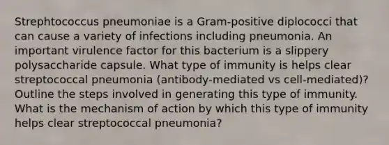 Strephtococcus pneumoniae is a Gram-positive diplococci that can cause a variety of infections including pneumonia. An important virulence factor for this bacterium is a slippery polysaccharide capsule. What type of immunity is helps clear streptococcal pneumonia (antibody-mediated vs cell-mediated)? Outline the steps involved in generating this type of immunity. What is the mechanism of action by which this type of immunity helps clear streptococcal pneumonia?