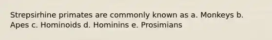 Strepsirhine primates are commonly known as a. Monkeys b. Apes c. Hominoids d. Hominins e. Prosimians